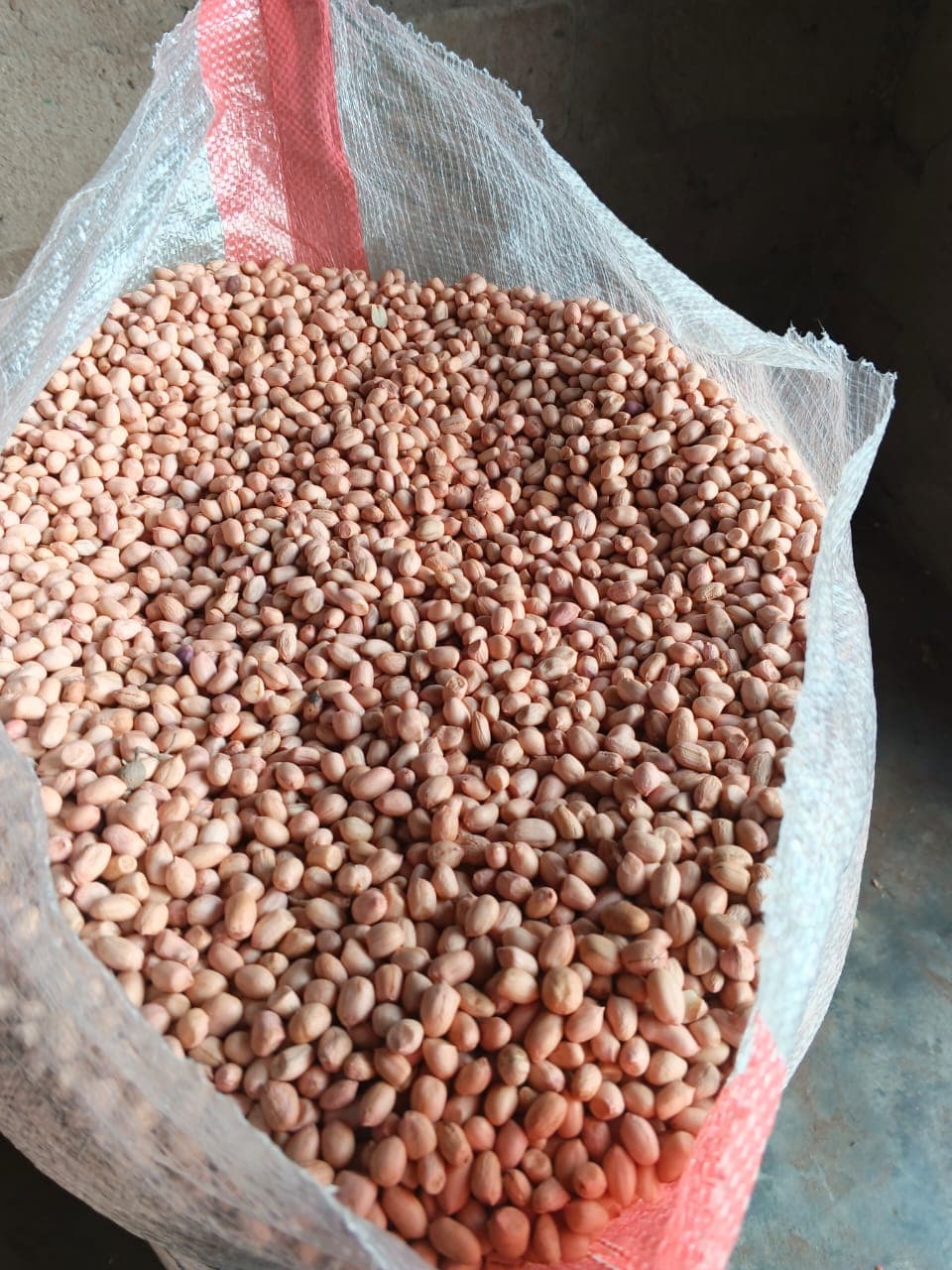 Groundnuts